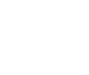 SNMC Logo Mark Only