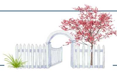 Boost Your Home’s Curb Appeal This Spring: Essential Tips for a Fresh Look