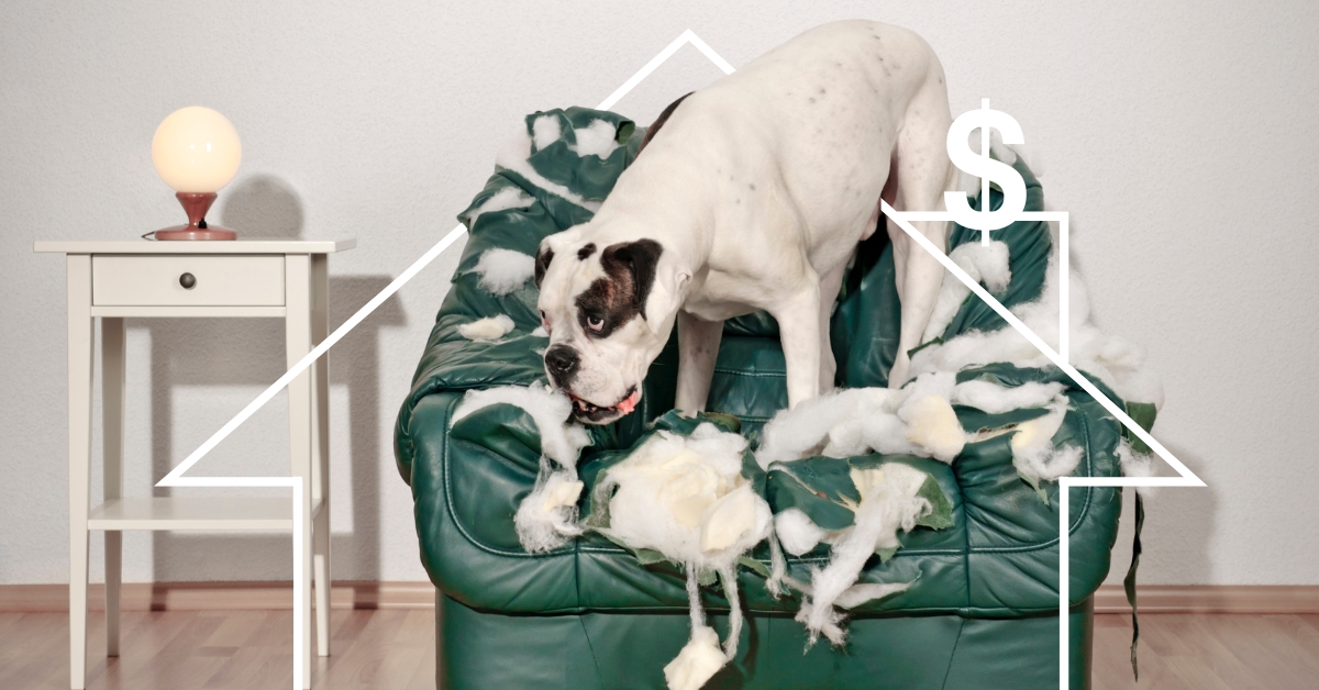 When Life Happens, Your Home Equity is Your Best Friend